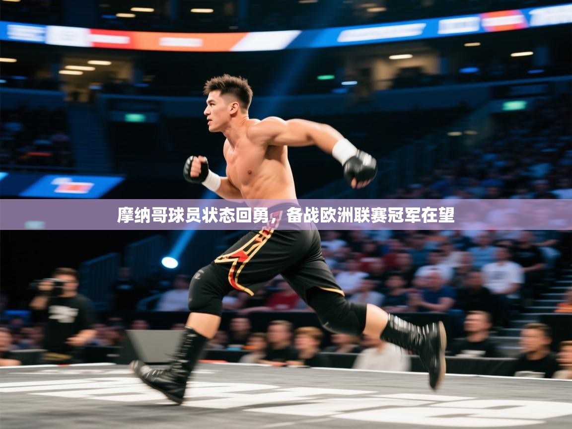 摩纳哥球员状态回勇,备战欧洲联赛冠军在望 第2张