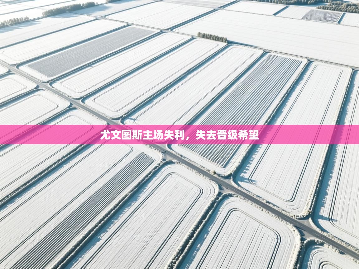 尤文图斯主场失利，失去晋级希望  第1张