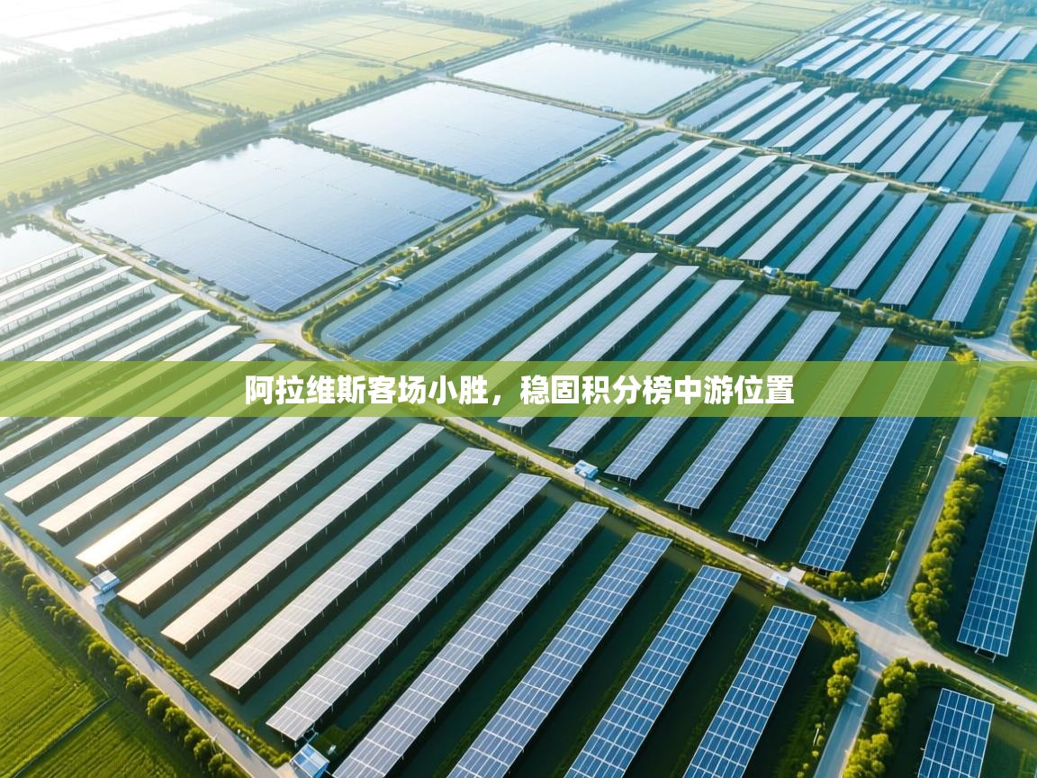 阿拉维斯客场小胜，稳固积分榜中游位置